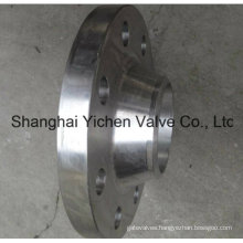 Weld Neck Stainless Steel Flange